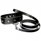 Leather Collar and Leash Set